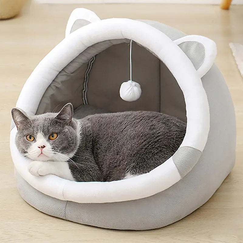 Cute Cat Bed for Indoor